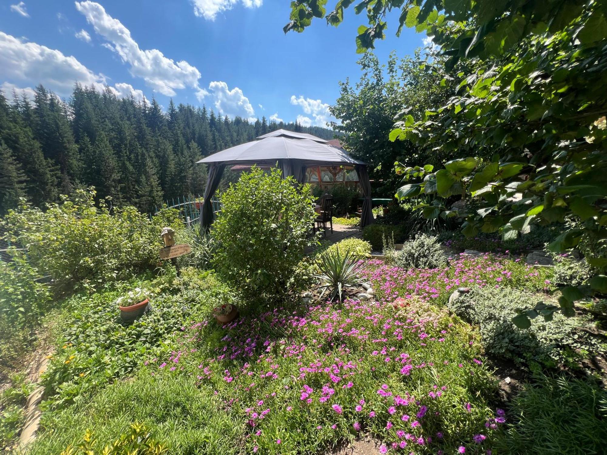 Guest House Milka Yagodina Exterior photo