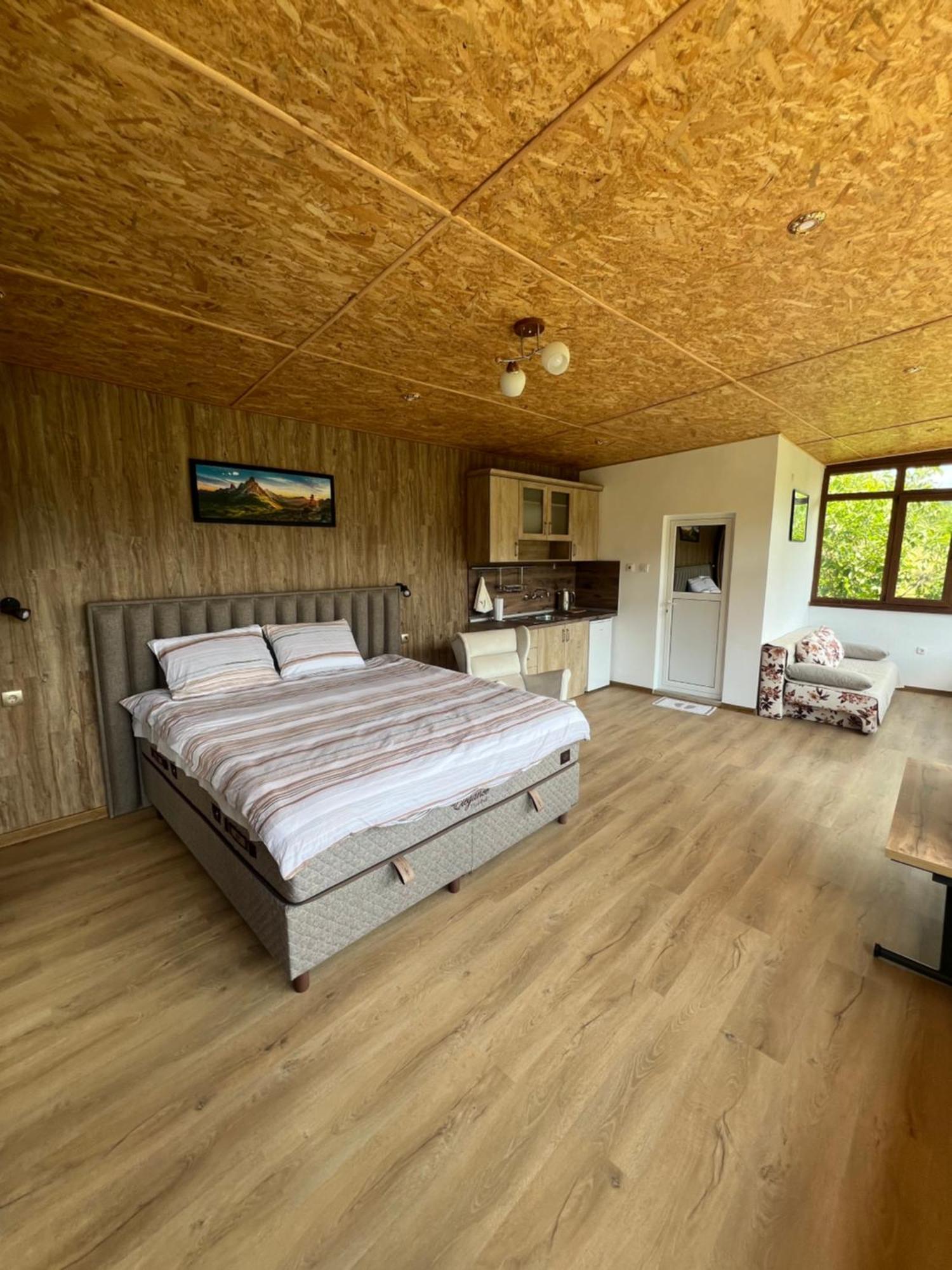 Guest House Milka Yagodina Room photo